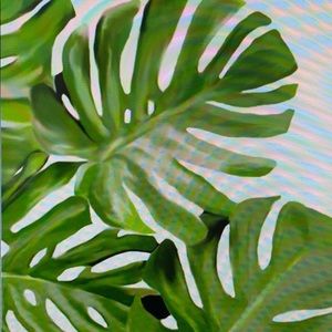 Meet your Posher, Kristin